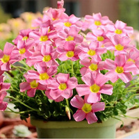 ��Ը��������ס--���Ҽ�С��̨�Ĵ���