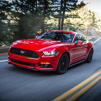 ���ñر�����Щ��Ͷ�벻������ɲ�С