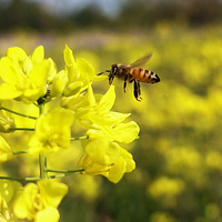 �׷״����򻨼�-��֮����...
