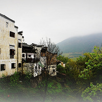 ����ɽ���ϵ�����Ŵ�