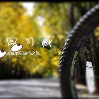 ȥ��10�����еĴ����ߣ���������