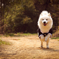 ���ϡ����ӡ����Ļ�ɴ������