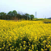 ���빫԰���Ͳ˻��������