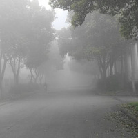 ����ͷ���ϡ��������� ����С�� 