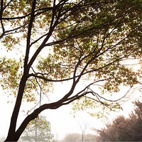 С���ٵ�һ�죬����һ��������������ʱ��