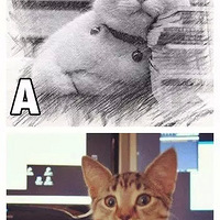 ���ʺ�Ҫ��̥������ͼ�����