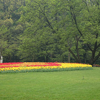 ����̫���幫԰������1