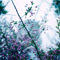 ����������ļ��ڣ�·�ߵĻ�Ҳ�ܲ������ý�Ƭ���ɵĻ�