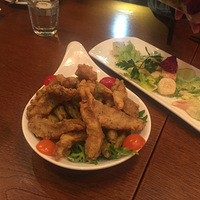 �������硿+�йش���ɸ���ʽ����