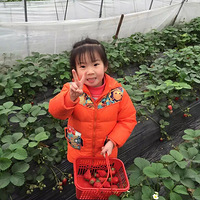 ����������ȥ�Ķ�����ɽ������𣬲�ݮժ��