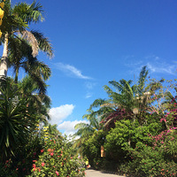 ����һ�𵽹�