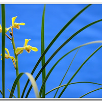    �� �� �� ��  ��Ҫ������ͼ������