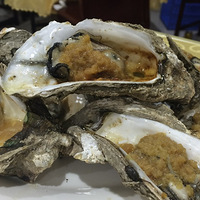 ����+����ɽ·/�ֶɡ�����8�ź����ŵ�