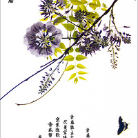 ���ٹ���ľ������������  