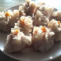 ��ζ-----������+��������������+������