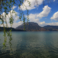 ���� �����