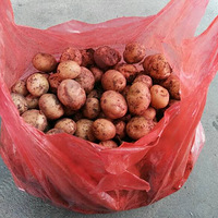 Ұ�׷�����