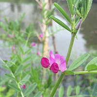 ��������£��ĵ���ô��