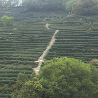 ���߾�Ϫʮ�˽������ⰻȻ