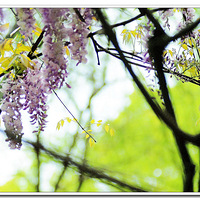    �� ���ٻ��� �� ��ͼ����ͼ����ͼ