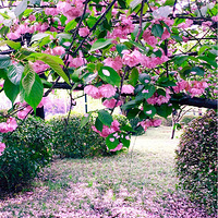 ���µ�ӣ����
�����ؿ������С�
��������