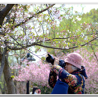   �� ������������Ӱʦ����