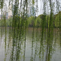 �������˺ӣ������Ļ��Ų�