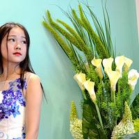   �� �� �� �� ����һ˫�������۾� ����