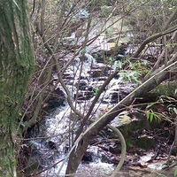 5.1�ϱ����Լݣ�Լ������