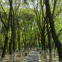 ���ⰻȻ��������Ȼ����