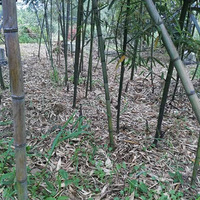 �ϱ���������Ұ�׷���