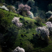 �����½��У�2��