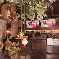 ����һ��������Ŀ��ȹ�