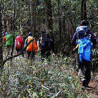 ��ţ��_2016-04-16~04-17