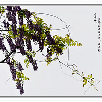 �Ϻ�߅������֮��