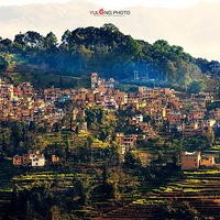 ����Ԫ���ϻ�������