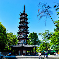 ����ɽ����ɭ�ֹ�԰