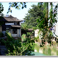   С����Ӱ���ġ� �� ����С����Ź� ���� ��