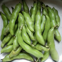 ����ʱ�ʻ������峴�²϶�