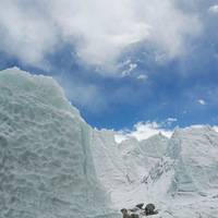 ����ű�������