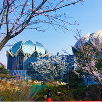 �������塿��������ģ�λõƹ�չ�������������չ����������