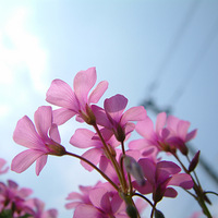 ��һ���Ƕȿ���