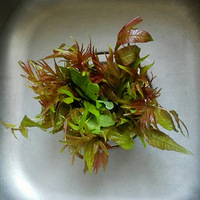 �㴻������