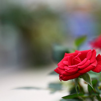 ���˸���ͷ��һ�£����ҵ���һ���¡�