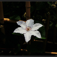 �����������ͷ����磬һ�ж�������������