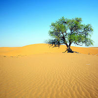 �����С�9��