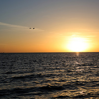 �����С�4��