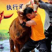 2016������й���ţ����Ԥѡ��