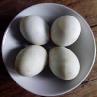 ��˽ �� �ˡ�