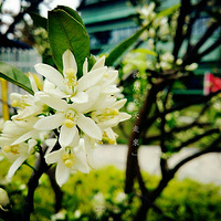 �����۾Ͷ��ˣ����Ͷ��������������ǹ���